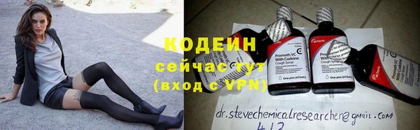 стаф Покачи