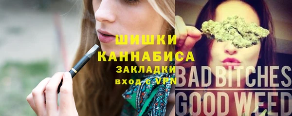 стаф Покачи