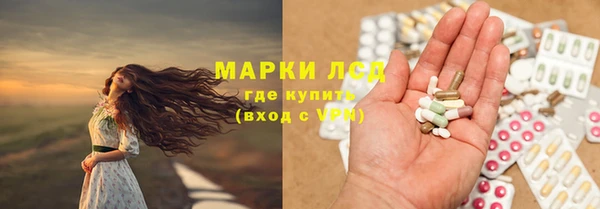 стаф Покачи