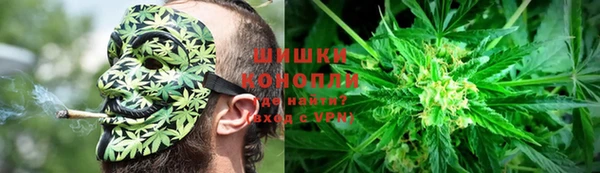 молекула духа Гусиноозёрск